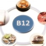 vitamina b12