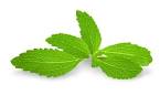 stevia1