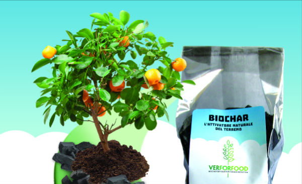 Biochar Verforfood