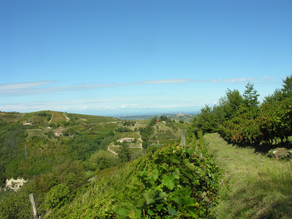 oasi Forteto della Luja