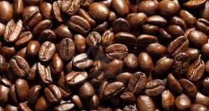 Cambiamento climatico, caffè a rischio