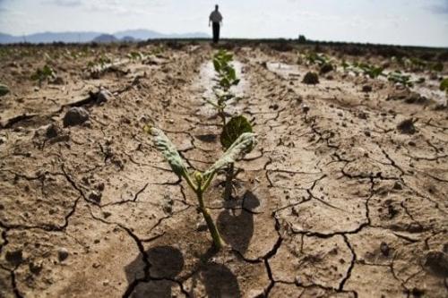 Siccità, Italia a rischio