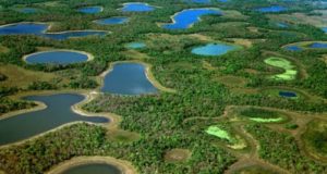 Il Pantanal a rischio per accordo Ue-Mercosur