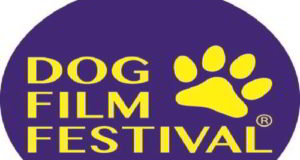 Dog film festival