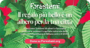 Forestami