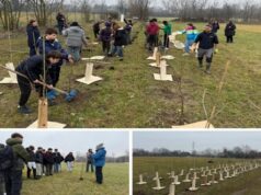 Nuovo bosco urbano a Parma