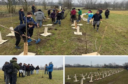 Nuovo bosco urbano a Parma